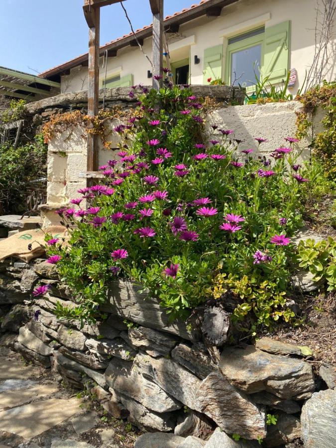 Walnut Tree Farm Villa Agia Anastasia Exteriör bild