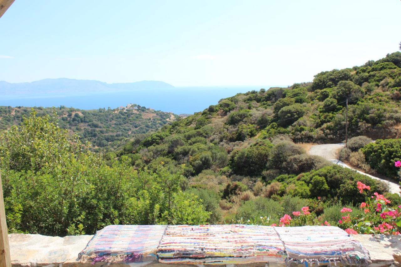 Walnut Tree Farm Villa Agia Anastasia Exteriör bild