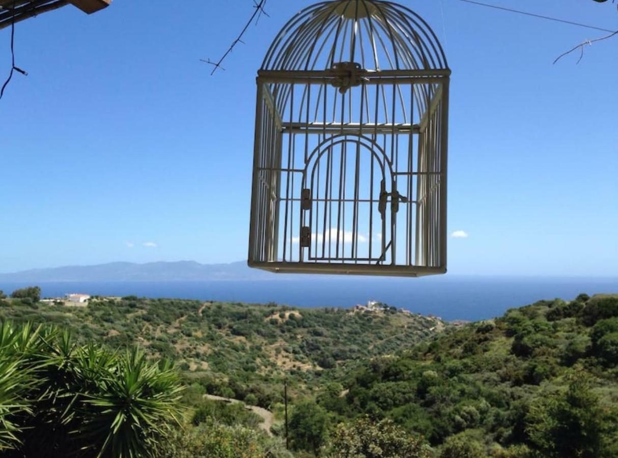 Walnut Tree Farm Villa Agia Anastasia Exteriör bild