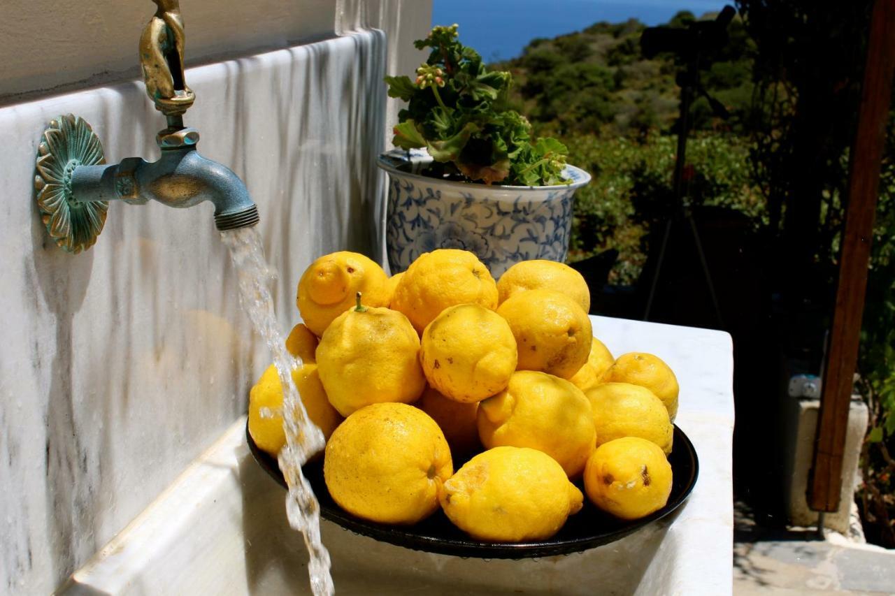 Walnut Tree Farm Villa Agia Anastasia Exteriör bild